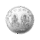 Minted Coin silver